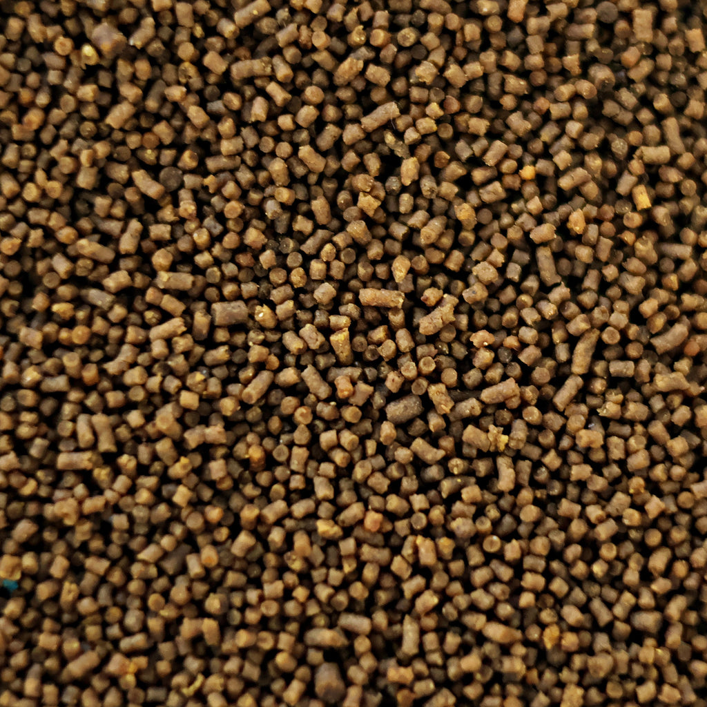 NanoPots Omni Mini - Granulés Omnivores enrichis Proteines Végétales et Animales - Pot 40g