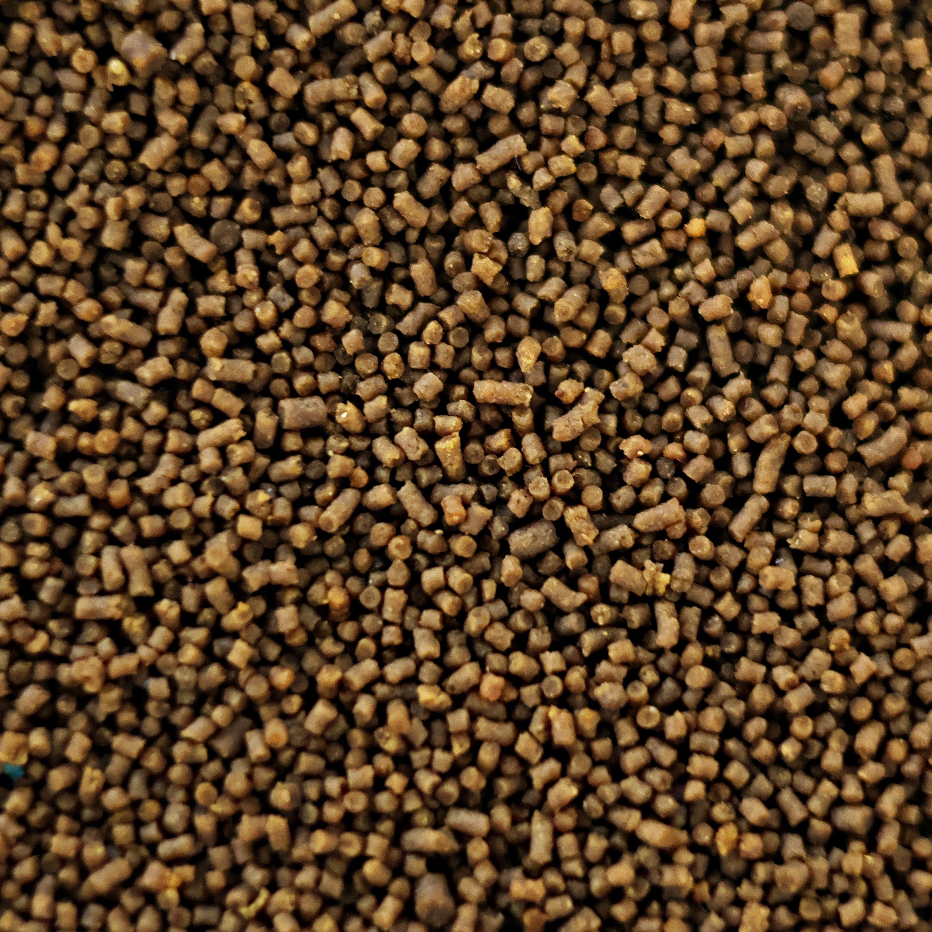 NanoPots Omni Mini - Granulés Omnivores enrichis Proteines Végétales et Animales - Pot 40g