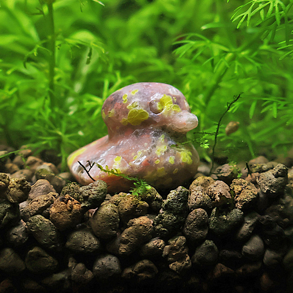 NanoStone - Canard en Rhodonite