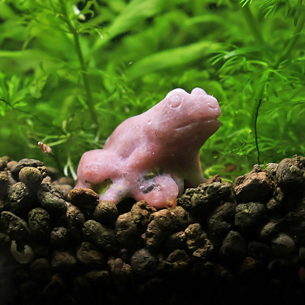 NanoStone - Grenouille en Rhodonite