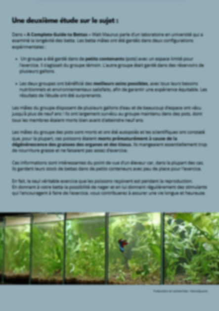 Une vie complète dans un bocal, explications des effets négatifs sur le combattant betta splendens.