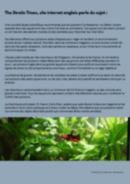 Une vie complète dans un bocal, explications des effets négatifs sur le combattant betta splendens.