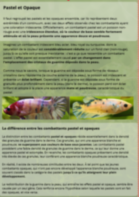 Génétique et Couleurs : Comment crée des lignées d'exceptions