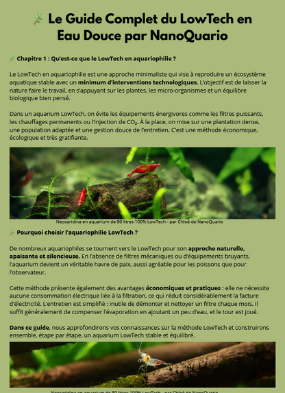 À la découverte des secrets de la nature : la méthode Low-Tech en aquarium🌿