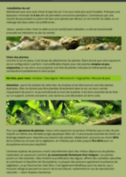 À la découverte des secrets de la nature : la méthode Low-Tech en aquarium🌿