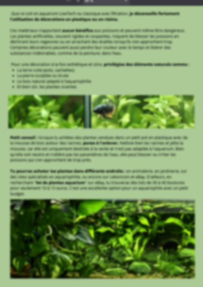 À la découverte des secrets de la nature : la méthode Low-Tech en aquarium🌿