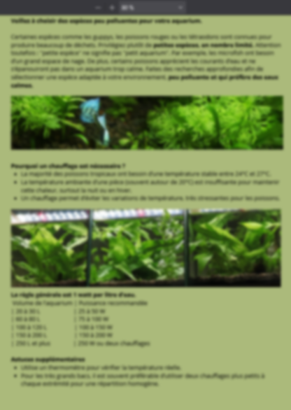 À la découverte des secrets de la nature : la méthode Low-Tech en aquarium🌿