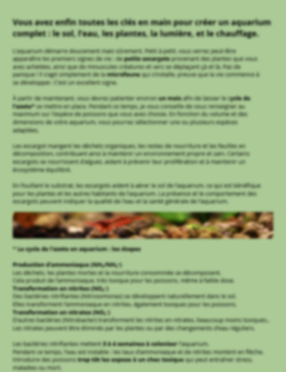 À la découverte des secrets de la nature : la méthode Low-Tech en aquarium🌿