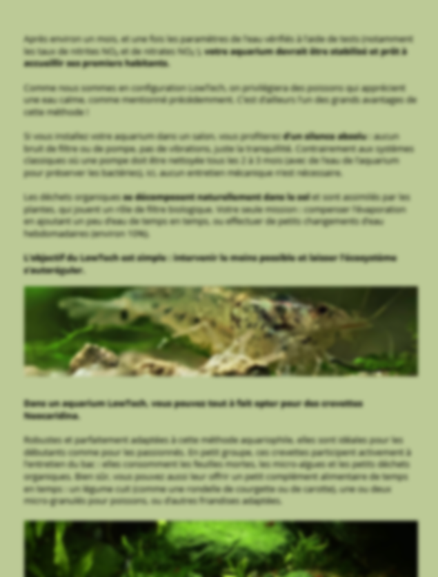 À la découverte des secrets de la nature : la méthode Low-Tech en aquarium🌿