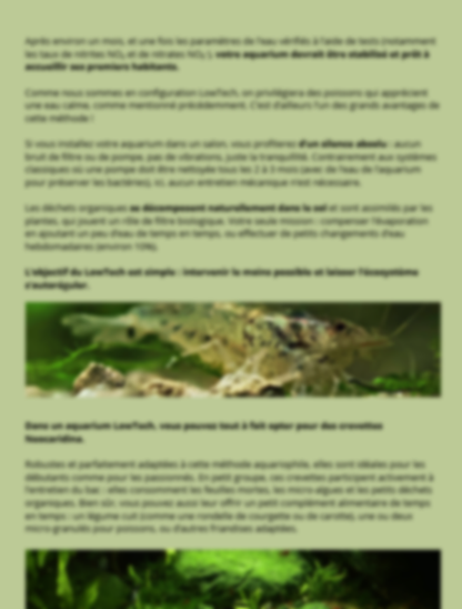 À la découverte des secrets de la nature : la méthode Low-Tech en aquarium🌿