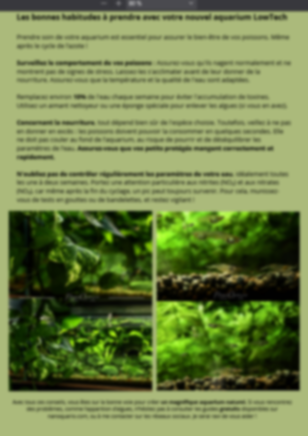 À la découverte des secrets de la nature : la méthode Low-Tech en aquarium🌿