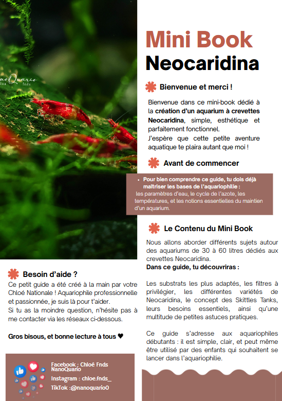 MiniBook : Un Aquarium de 30/60 litres pour des Neocaridina