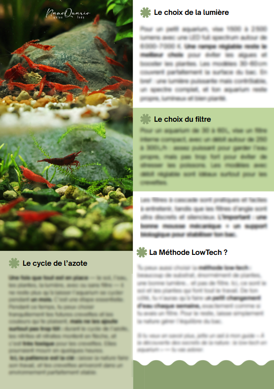 MiniBook : Un Aquarium de 30/60 litres pour des Neocaridina