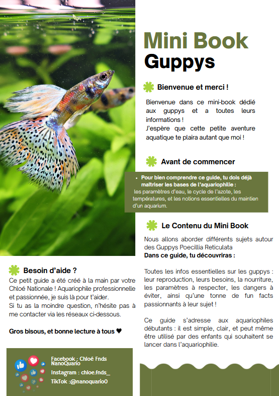 MiniBook : Les informations utiles sur les Guppys Poecilia Reticulata