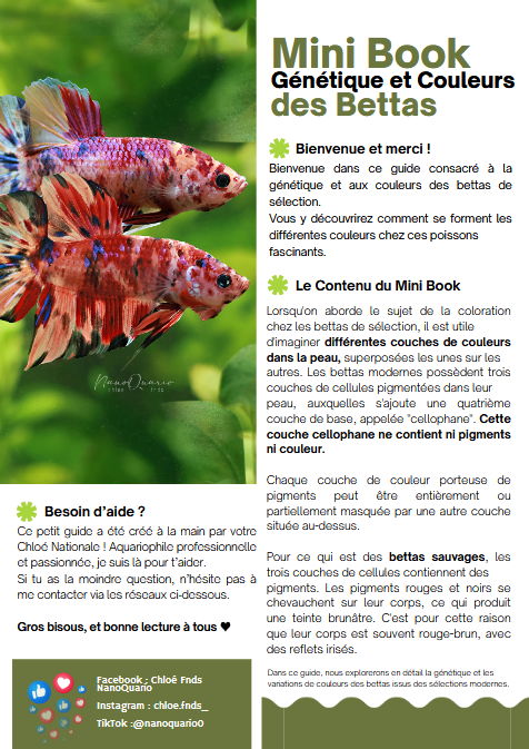 MiniBook : Génétique et Couleurs des Bettas