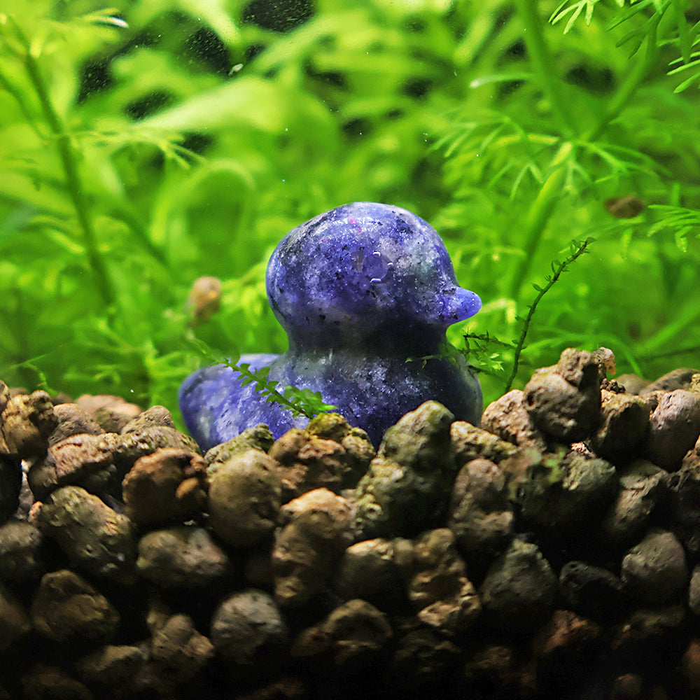 NanoStone - Canard en Sodalite Bleue