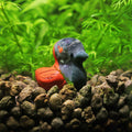 NanoStone - Canard en Sodalite et Jaspe Rouge