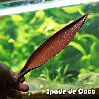 🍂KIT BIGI - Grand Kit Mix