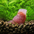 NanoStone - Moineau en Strawberry Quartz