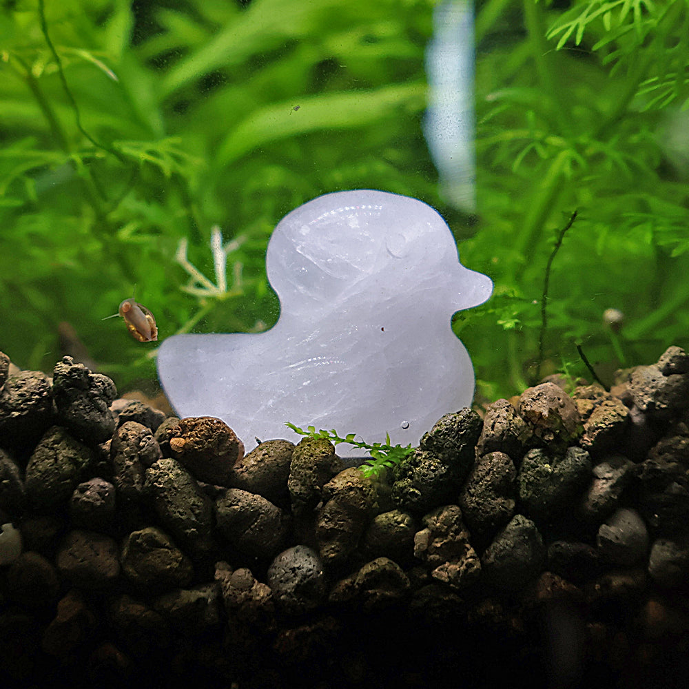NanoStone - Canard en Quartz Blanc