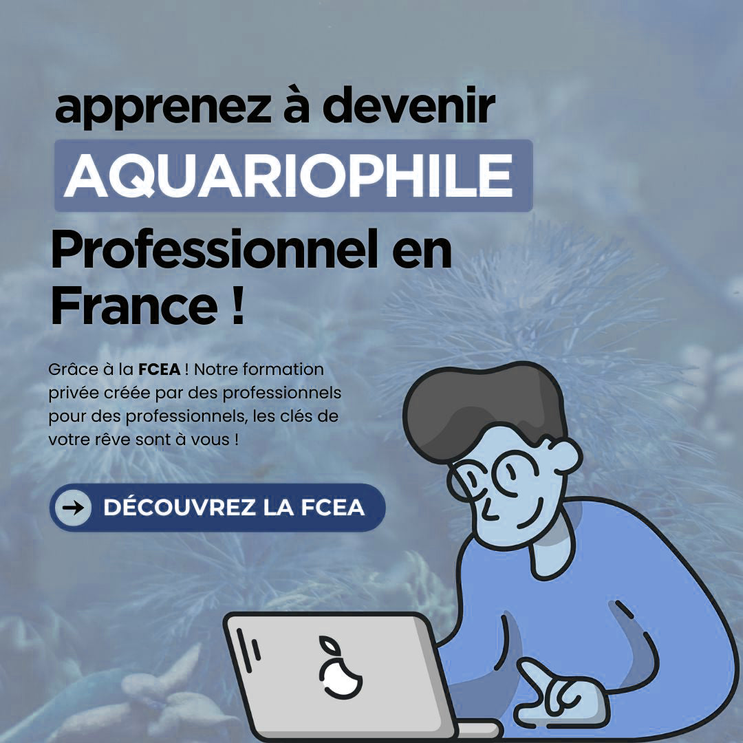 FCEA - Formation a la creation d'une entreprise aquariophile - Formule Marketing +