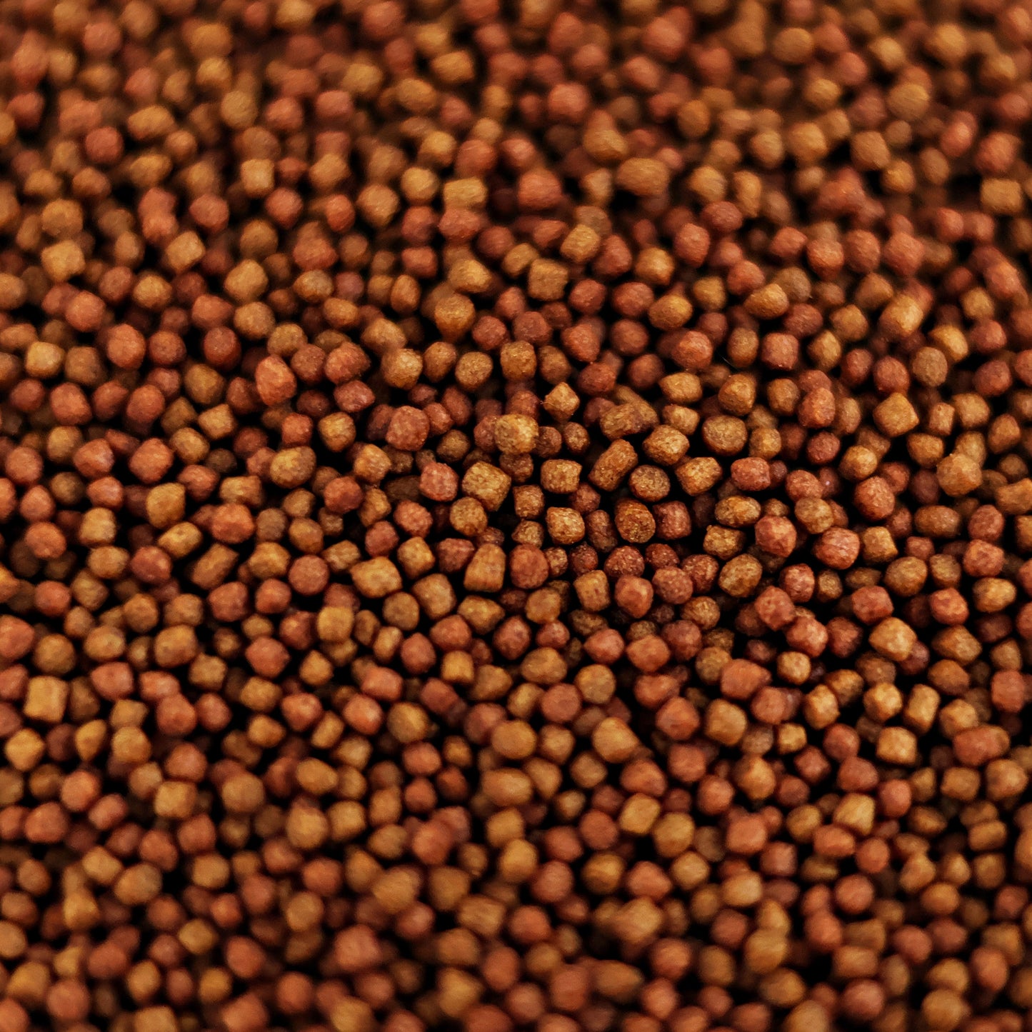 NanoPots Red - Compléments Boost Couleurs - Astaxantine, Spiruline, Protéines  - Pot 40g