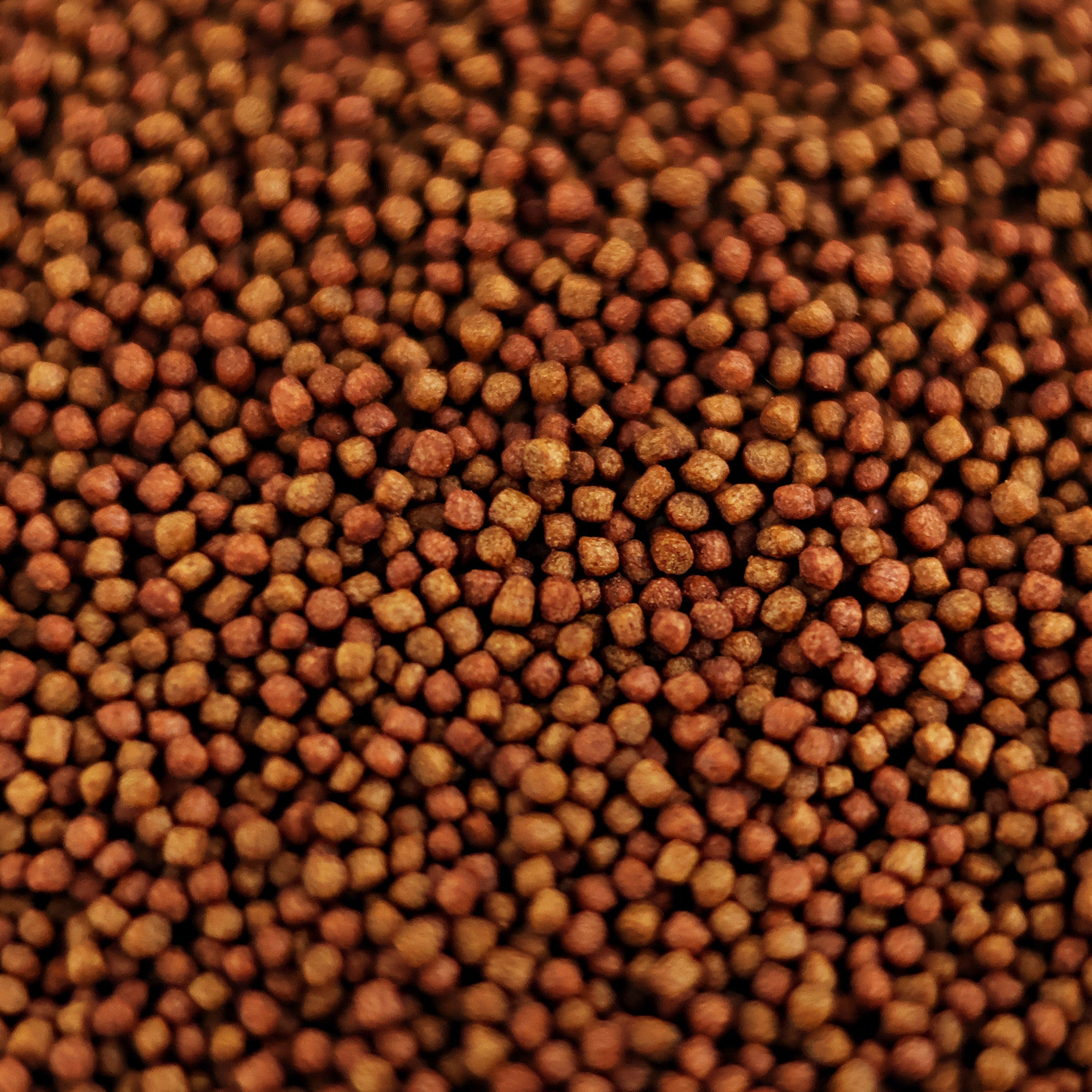 NanoPots Red - Compléments Boost Couleurs - Astaxantine, Spiruline, Protéines  - Pot 40g