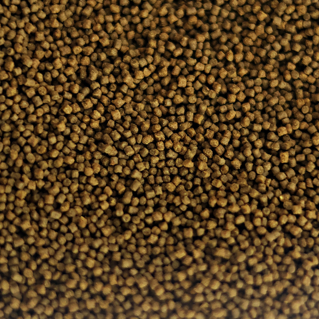 NanoPots Omni Big - Granulés Omnivores enrichis Proteines Végétales et Animales - Pot 40g