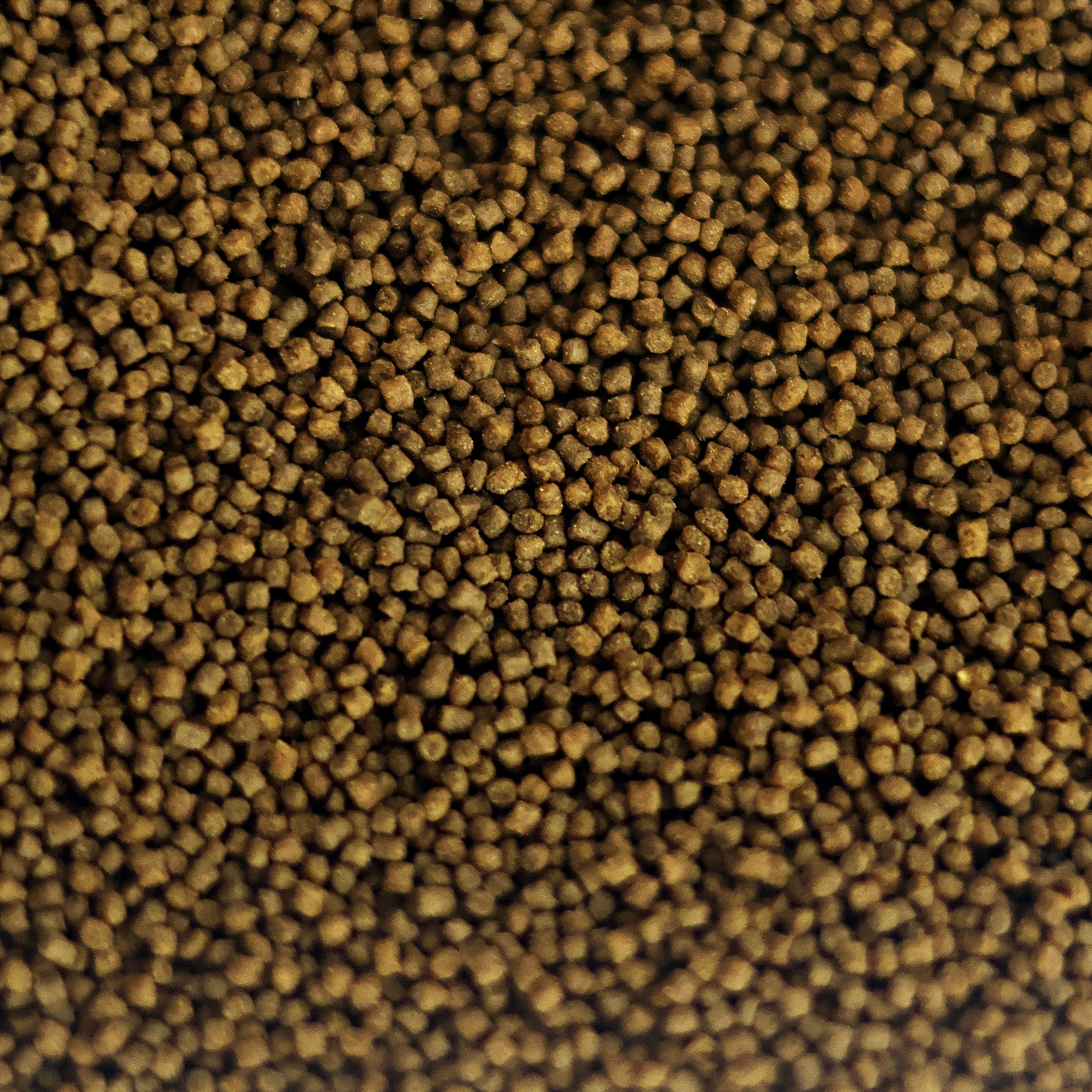 NanoPots Omni Big - Granulés Omnivores enrichis Proteines Végétales et Animales - Pot 40g